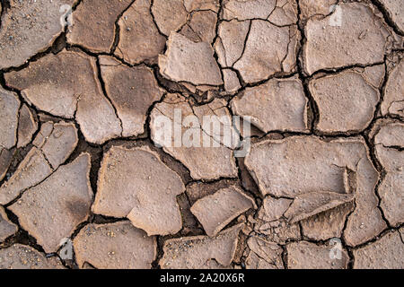Mosaïque naturelle formée par les fissures dans la terre sèche. Nature morte. Et la texture d'arrière-plan Banque D'Images