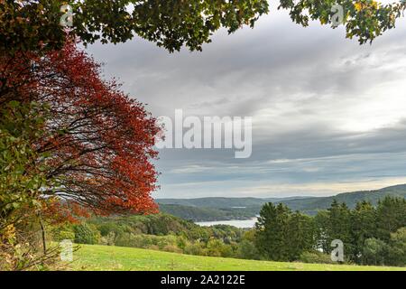 Parc national de l'Eifel en Allemagne Banque D'Images