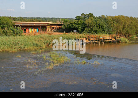 Jetée sur la rive de l'estuaire de St Lucia, municipalité de district de Umkhanyakude, KwaZulu Natal, Afrique du Sud. Banque D'Images