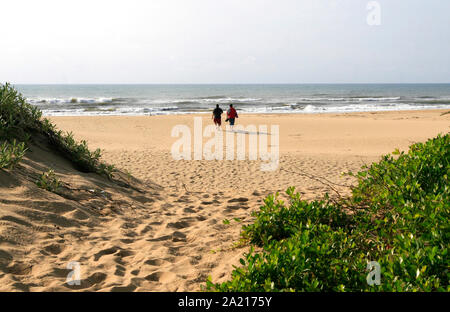 Deux hommes walking on beach, St Lucia, municipalité de district de Umkhanyakude, KwaZulu Natal, Afrique du Sud. Banque D'Images