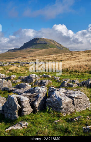 Pen y Gand, près de Helwith Pont. Yorkshire Dales National Park, England. Banque D'Images