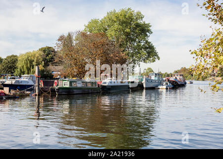 Bateau étroit et péniche moorings sur la Tamise par Teddington, London, UK Banque D'Images