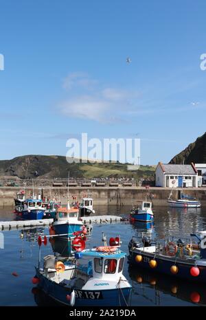 (Gardenstown Gamrie) harbour, Aberdeenshire Banque D'Images