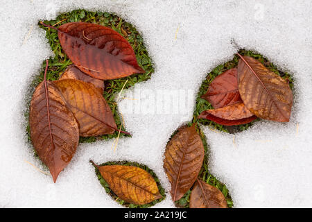 Les feuilles d'automne sur l'herbe verte dans la neige Banque D'Images