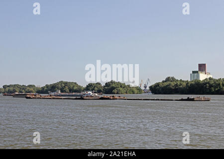 Avis de tanker sur le Danube près de Belgrade avec des arbres sur la rive avec les silos à grains et le port de Belgrade derrière elle, Danube, Serbie. Banque D'Images