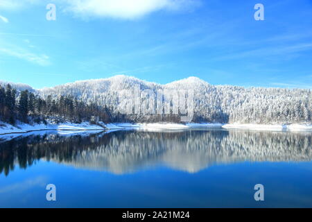 Paysage d'hiver sur le lac Banque D'Images