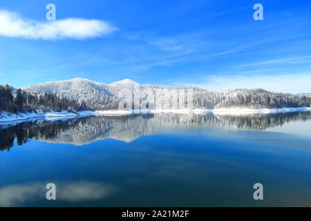 Paysage d'hiver sur le lac Banque D'Images