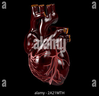 Coeur de l'homme - Anatomie de coeur humain 3d illustration. Banque D'Images