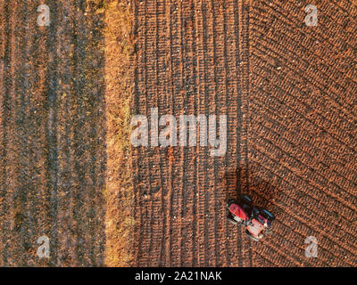 Vue aérienne d'un vrombissement d'un tracteur alors que le travail du sol et le labour des terres agricoles dans un champ. Vue supérieure de l'agriculture et de l'espace concept copie vide Banque D'Images