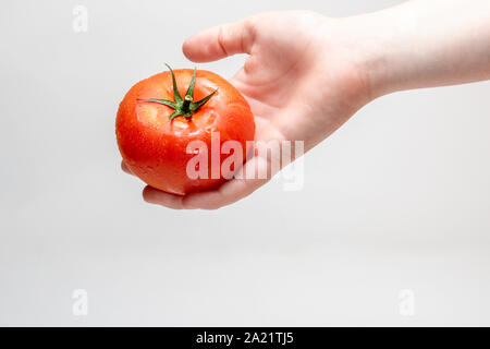 Tomate rouge couvert d'humidité importante dans une petite main avec un fond blanc. Banque D'Images