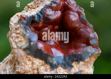 Red Fox cratère. Agate spécimens de minéraux naturels. Banque D'Images