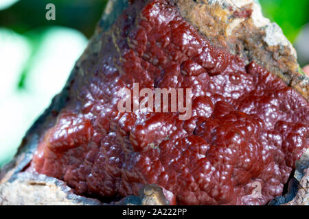 Fox cratère. agate spécimens de minéraux naturels. Banque D'Images