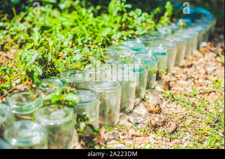 Une clôture en pots de verre. Banque D'Images