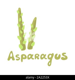 Souches végétales asperges isolé sur blanc. Ensemble d'asperge cultivée la pousse. L'alimentation saine, un régime végétarien concept. Les asperges Illustration de Vecteur