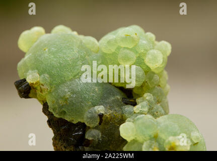Spécimen minéral prehnite quartz gem stone rock Banque D'Images
