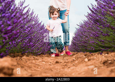Little girl walking parmi les champs de lavande en été Banque D'Images