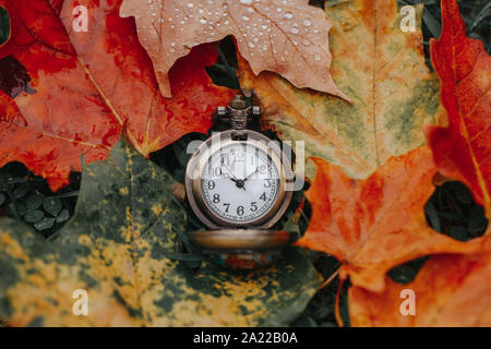 Montre de poche antique vintage rétro réveil étendue sur le sol à l'automne automne orange rouge jaune feuilles d'érable. Notion de temps passé ou futur. Banque D'Images