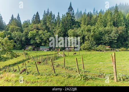 Craig Highland Farm - vues- refuge pour animaux en Ecosse Banque D'Images