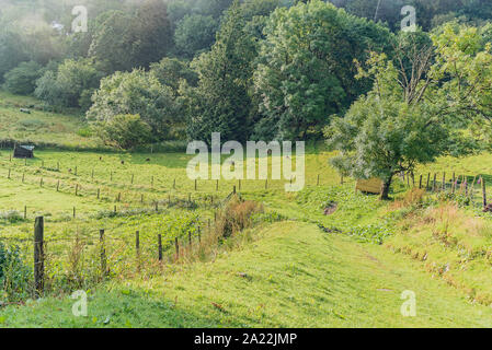 Craig Highland Farm - vues- refuge pour animaux en Ecosse Banque D'Images