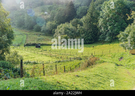 Craig Highland Farm - vues- refuge pour animaux en Ecosse Banque D'Images