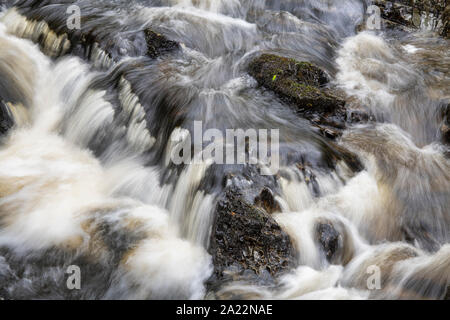 Cordorcan cascades graver dans le bois de la réserve crie, Newton Stewart, Dumfries et Galloway, Écosse Banque D'Images