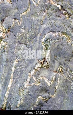 Fond naturel de roches métasédimentaires Rock. St Agnes, North Cornwall, UK. Banque D'Images