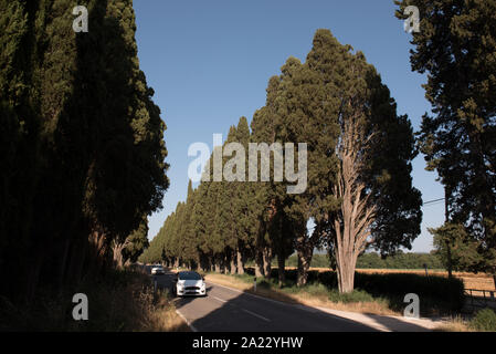 La célèbre avenue bordée d'arbres de cyprès deux kilomètres de long qui relie la route nationale Aurelia du village de San Guido au Bolgheri vi Banque D'Images