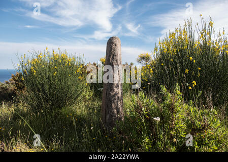 Sassiritti est un site archéologique dans la campagne près de San Piero in Campo. Les quatre menhirs initialement composée d'un alignement de monolithes typique Banque D'Images