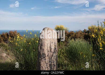 Sassiritti est un site archéologique dans la campagne près de San Piero in Campo. Les quatre menhirs initialement composée d'un alignement de monolithes typique Banque D'Images