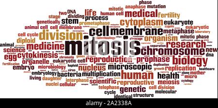 La mitose mot concept cloud. Collage fait de mots sur la mitose. Vector illustration Illustration de Vecteur