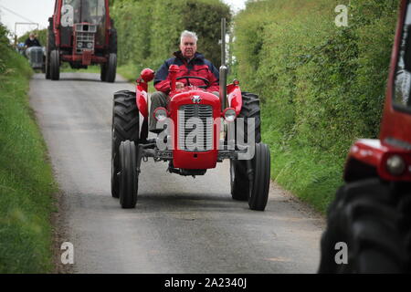 Tracteur Massey Ferguson 35 rouge Banque D'Images