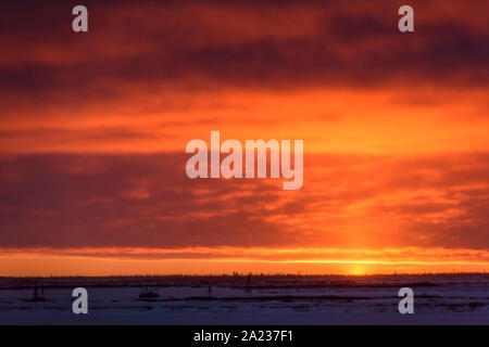 Ciel coucher de soleil sur la baie d'Hudson au moment du gel, Churchill, Manitoba, Canada Banque D'Images