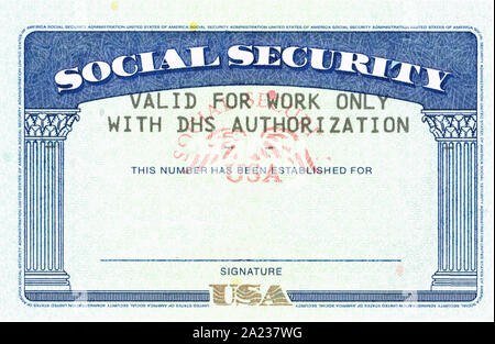 Carte de sécurité sociale avec le texte original en blanc du ssn autorisation DHS Banque D'Images