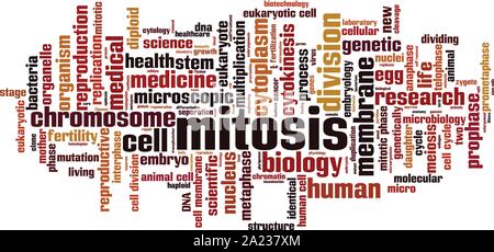 La mitose mot concept cloud. Collage fait de mots sur la mitose. Vector illustration Illustration de Vecteur