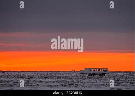 Coucher du soleil sur la baie d'Hudson au gel, parc national Wapusk, Cap Churchill, Manitoba, Canada Banque D'Images