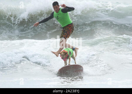 Huntington Beach, Californie, USA. 28 Septembre, 2019. La 11e édition de la compétition de Surf Surf City dog Chien tenu à Huntington Beach Huntington Beach, Californie le 28 septembre 2019. Banque D'Images