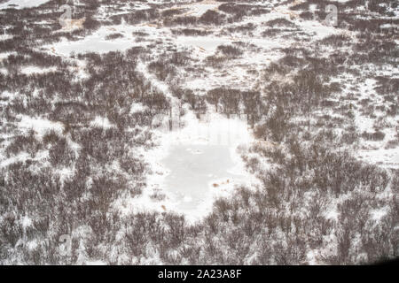 Les basses terres de la baie d'Hudson se fige de l'air. Étangs et arbres boréaux, Churchill, Manitoba, Canada Banque D'Images