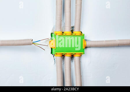 Monté en surface interne de la boîte de jonction, le processus. Le câblage domestique dans un conduit en plastique. La réparation et l'entretien d'accueil de l'électricité. La réparation et m Banque D'Images