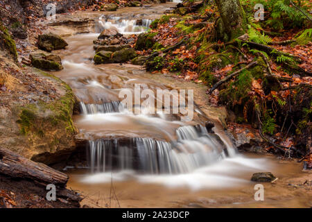 Flux forestiers avec des chutes d'eau à la fin de l'automne, Wagner Falls Scenic area, Munising, Michigan, USA Banque D'Images