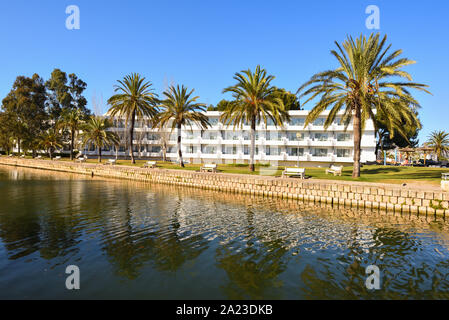 Palmiers poussent le long d'un canal dans la ville d'Alcudia à Majorque, Espagne Banque D'Images