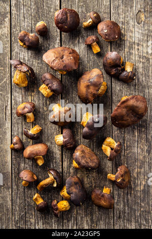 Beaucoup de cèpes sur la vieille table en bois. Vue d'en haut. Banque D'Images