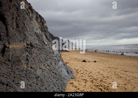 Ven noir sur falaise membre marl Charmouth plage, Dorset, Angleterre Banque D'Images