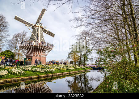 Beaux jardins de Keukenhof à Lisse, Pays Bas Banque D'Images