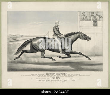 L'amble Billy Boyce de Saint Louis : qu'il était apparu à Buffalo N.Y. 1er août 1868 la dernière stimulation demi-mille dans la deuxième chaleur dans 1 minute 5 secondes 1/4 et la troisième un mile de chaleur dans le temps le plus rapide sur l'enregistrement 2:14 1/4 Banque D'Images