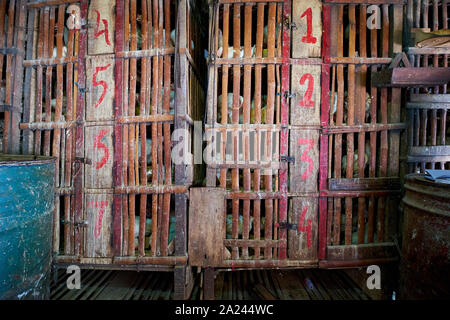 Le vieux bois, cages de bambou Tenir les poulets vivants prêts à être vendus à l'ancienne, locale, marché traditionnel, Pabean Pasar. Dans le quartier arabe de Surabay Banque D'Images