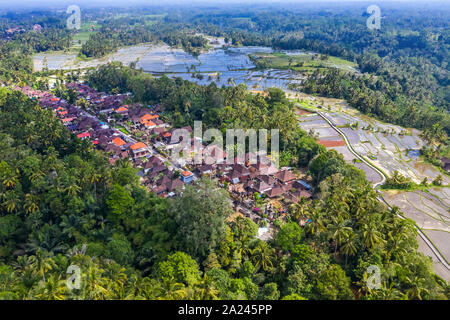 Vue aérienne du village de Tegallalang et champ de riz terrasse, Bandung, Ouest de Java en Indonésie, en Asie. Image libre de droit stock de haute qualité de Bali. Banque D'Images