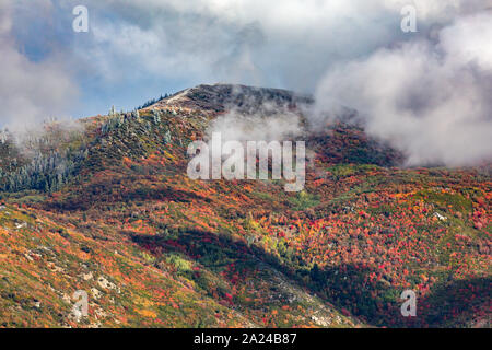 C'est une vue de l'automne couleurs de la montagnes Wasatch est de East, Utah, USA comme les nuages commencent à briser après une tempête. Cette zone est Banque D'Images