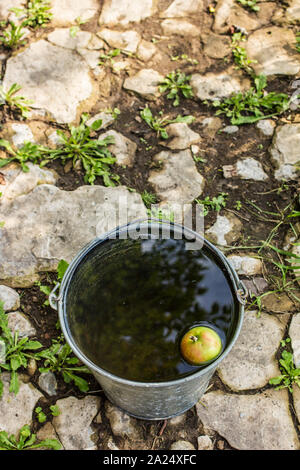 Apple sont dans un seau en métal avec de l'eau qui se dresse dans le vieux chemin de béton dans un village Banque D'Images