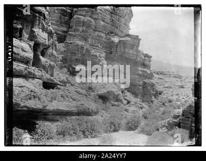 Petra. Des lauriers-roses dans la vallée à proximité de Petra Banque D'Images