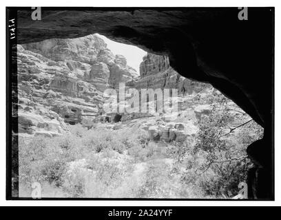 Petra. Des lauriers-roses dans la vallée à proximité de Petra bon Banque D'Images